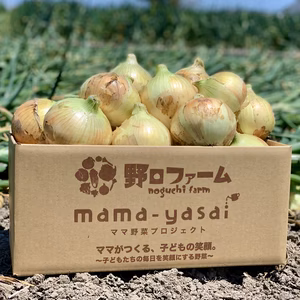 【ちょぴり訳あり】子どもたちが丸ごと食べちゃう♪春の新たまねぎ