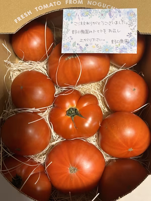 みんなの投稿の画像