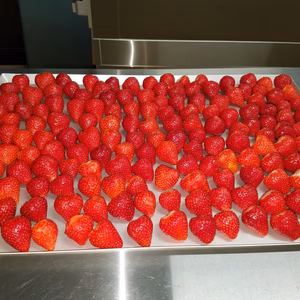 急速冷凍　冷凍いちご　500g×4（2ｋｇ）