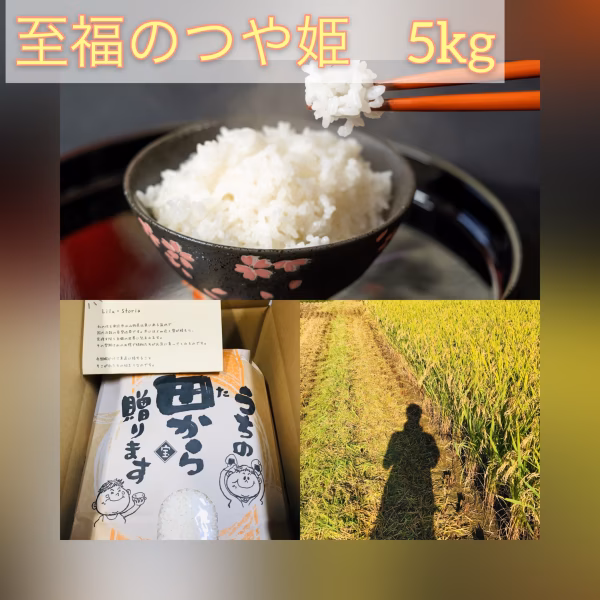 10kg予約限定価格　至福のつや姫　山形県　令和3年度産