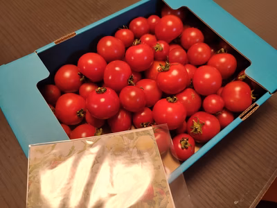 みんなの投稿の画像