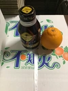 かわいい小玉不知火デコ13〜15玉2、2キロ〜