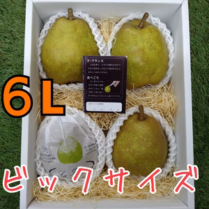 超ビック！大玉ラ・フランス６L(4玉)【2kg化粧箱入】