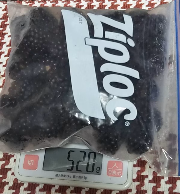 ブラック ベリー　冷凍2kg(500g×４パック）