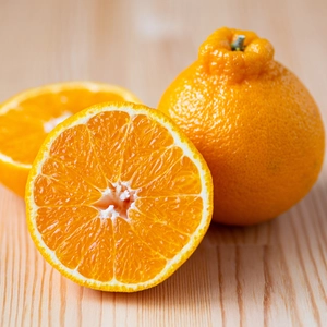 【送料無料！】高級柑橘デコ（不知火）　※ご家庭用