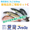 【日時指定対応】温暖で潮通しの良い宇和海の特性詰まったご堪能鮮魚セット