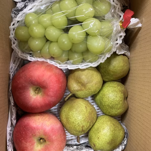 秋の味覚セット! フルーツ3種盛り！1度で3度美味い！