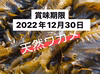 【１１日・１２日限定・先着５０セット】☆半額☆塩蔵わかめ１０袋