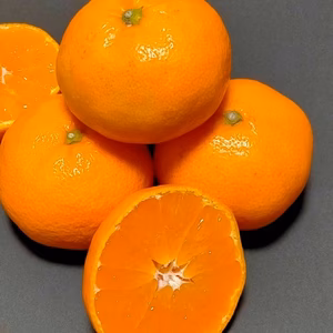 【みかんの王道】ジューシーな宮川みかん 混合4K or 9K