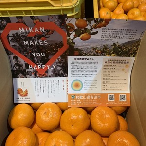 竹吉園　有田市認定みかん　感謝価格　12月の早生みかん Sサイズ
