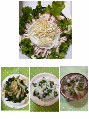 みんなの投稿の画像