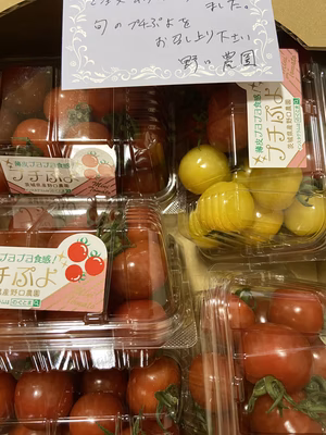 みんなの投稿の画像