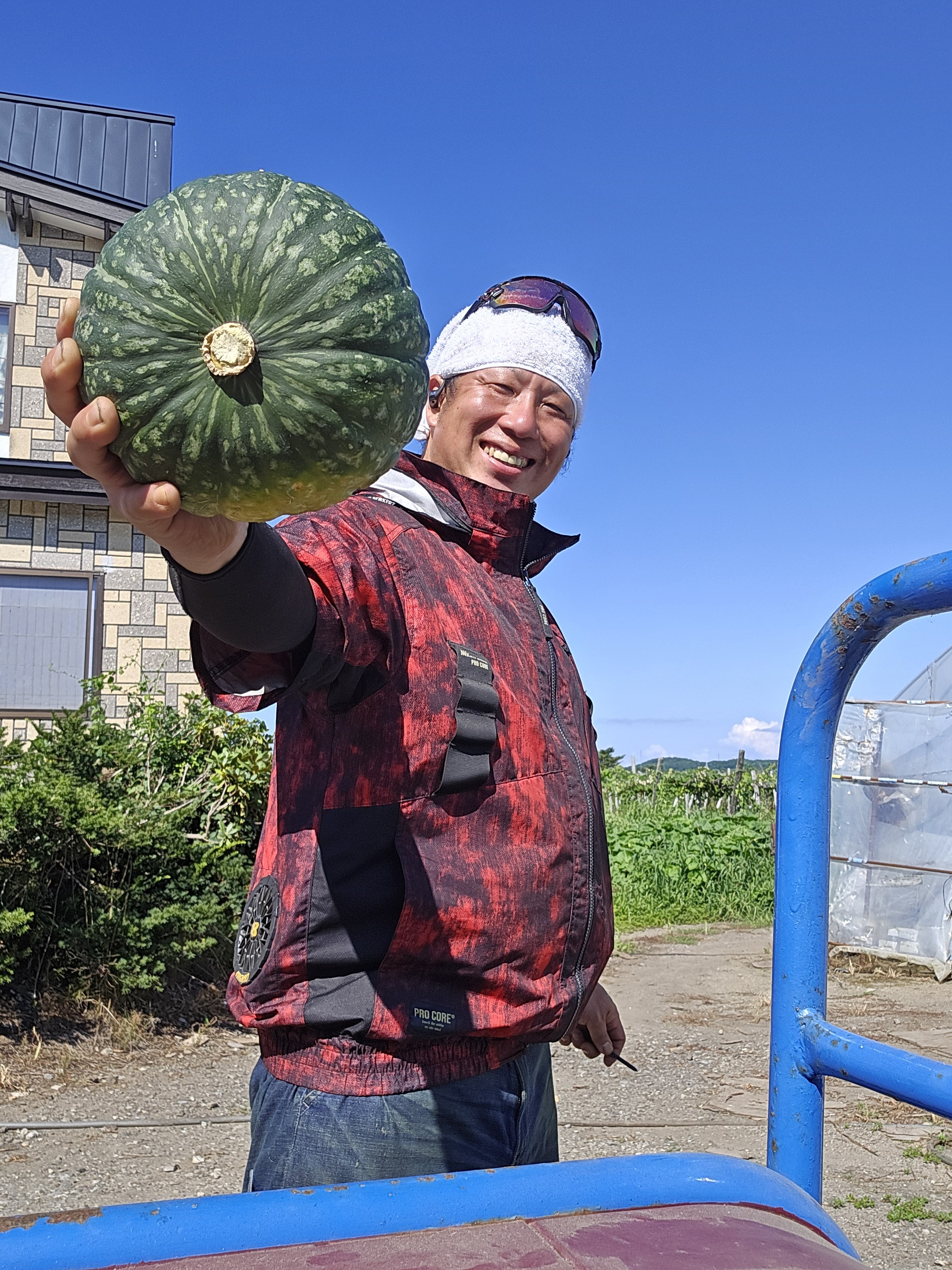 ご好評につき再販!またせたな!北海道余市のみやこ!カワイのみやこカボチャ! カボチャ 4kg(約1玉〜2玉)