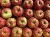 旬のりんごと桃の詰合せ 約3kg フルーツボックス♪