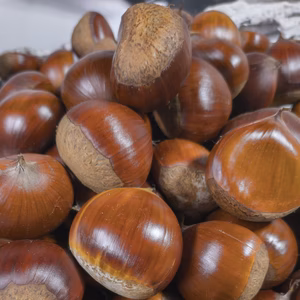 小粒でもあまーい和栗1㎏（約100粒）