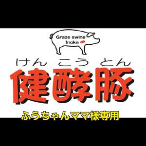 ふうちゃんママ様専用