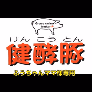 ふうちゃんママ様専用