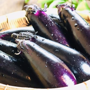 【訳ありB級品】『赤土土壌』朝彩り鮮度抜群‼︎当日発送★夏秋ナス