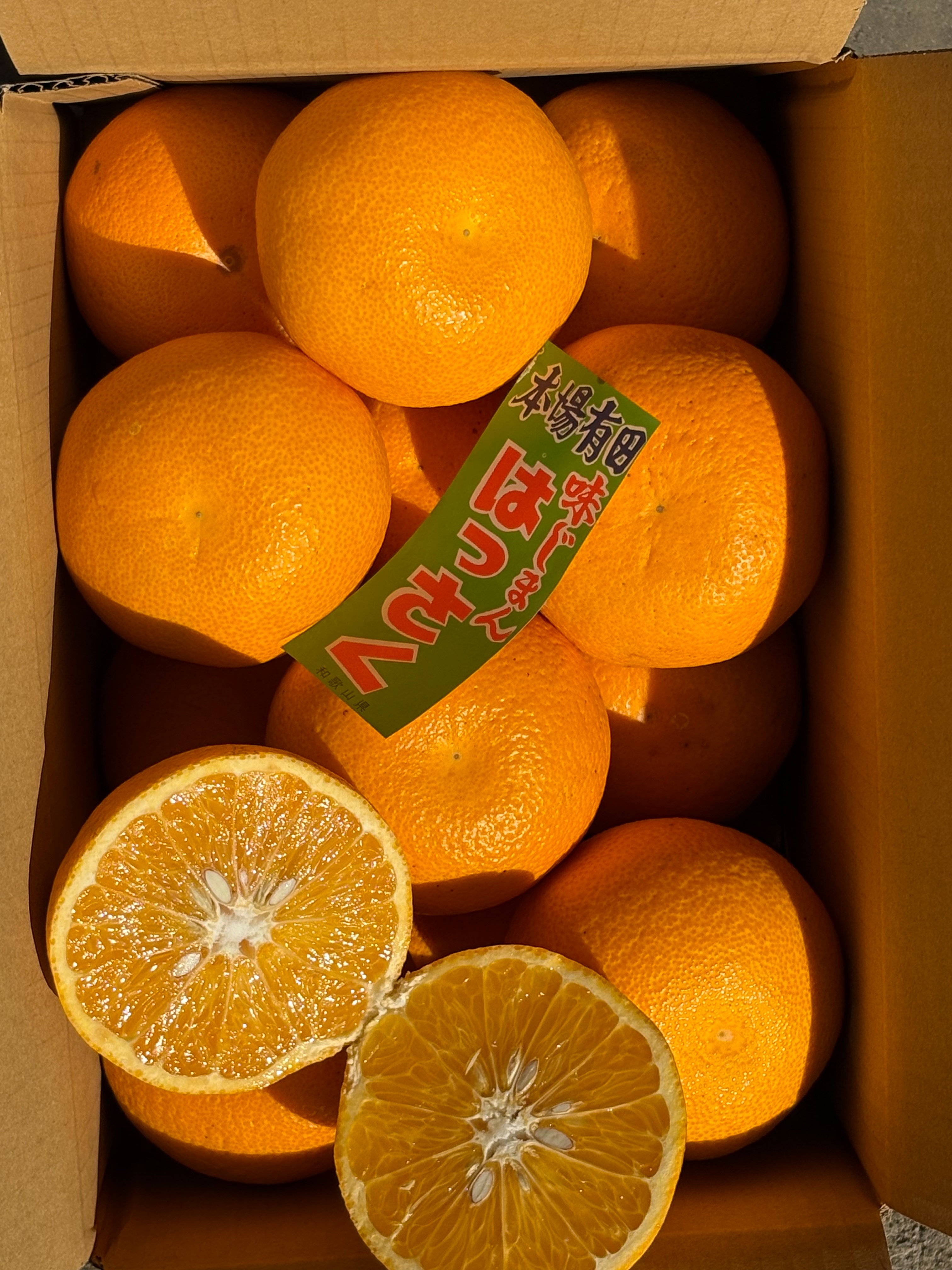 正直、今年は甘い|和歌山はっさく 箱込み約5kg 糖度12度以上 旬のはっさく 約5kg