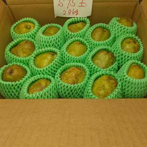 ラ・フランス15玉