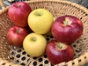 信州オリジナル3品種『りんご三兄弟®』16個セット‼︎