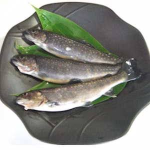 山形県最上町産　豊かな伏流水が育んだ岩魚（冷凍、10匹～）