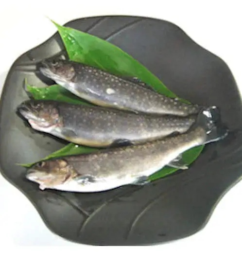 山形県最上町産　豊かな伏流水が育んだ岩魚（冷凍、10匹～）