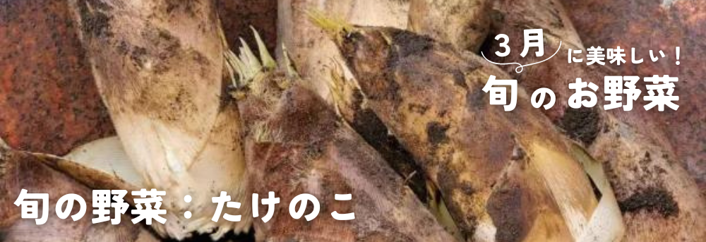 たけのこ