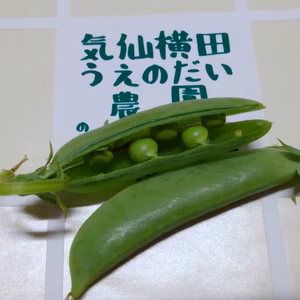 東北ではこれからが旬です！スナップエンドウ（冷蔵便）