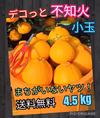 デコっと不知火『訳あり』小玉　4.5 kg（箱込）送料無料