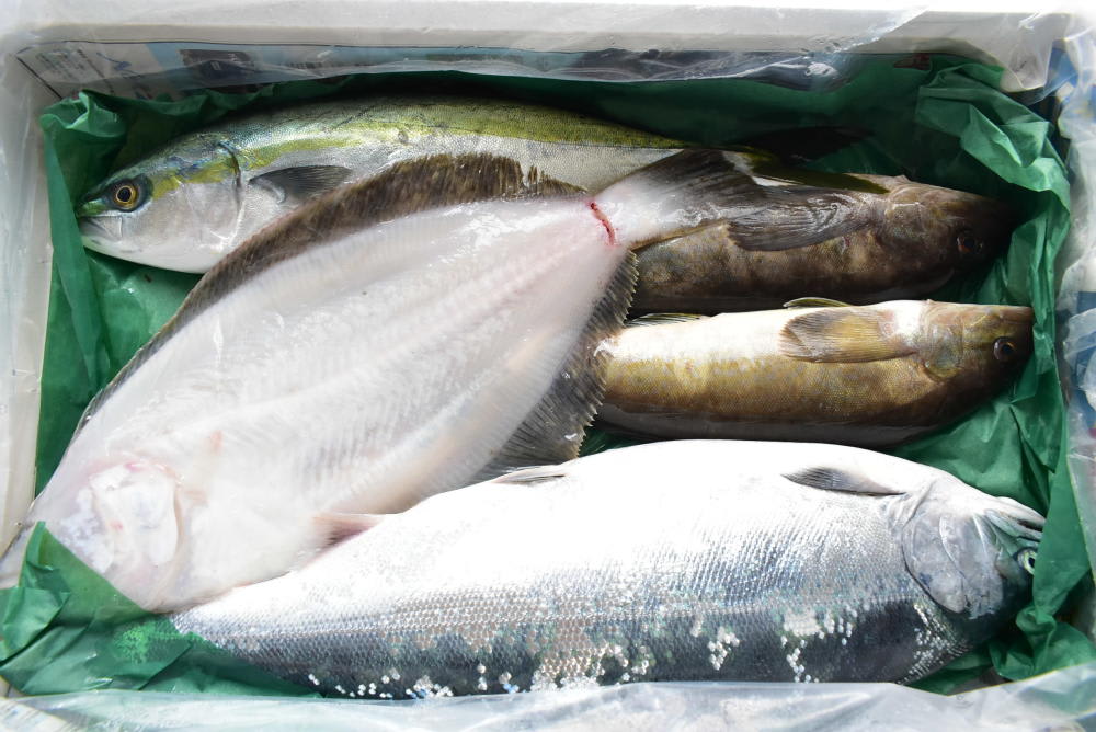 出刃包丁は不要 普通の包丁とハサミでお魚捌きに入門しない 農家漁師から産地直送の通販 ポケットマルシェ