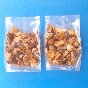 小粒特価　那須高原産ホワイト六片 黒にんにく２５０g×２袋