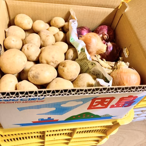 【瀬戸内・因島産】しまのじゃがたまセット（栽培期間中、農薬不使用）