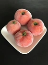 化学肥料・農薬完全不使用　まるごと冷凍トマト2.5kg　青森産　蓬田村
