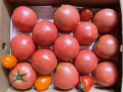 みんなの投稿の画像