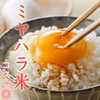 新米！約4000円相当のオマケ付！ミヤハラ米★白米★食味特Ａランク！！