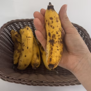 宮古島産　島バナナ