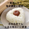 セール！おにぎり専用 無添加 紀州南高梅 樽のままお届け 梅干 和歌山 