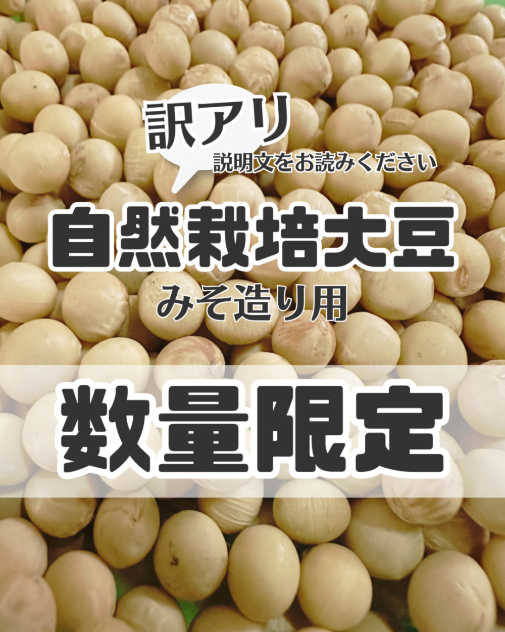 自家栽培 大豆 10kg 味噌用 家庭用 - 野菜