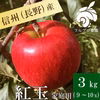 長野県産紅玉 訳あり 3kg 減農薬 葉とらずりんご 9月上旬頃出荷開始予定