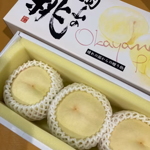 岡山の白桃　大玉3玉