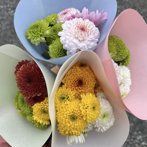 ギフトにもぴったり！スプレーマムでつくるマイクロブーケ【8束セット】