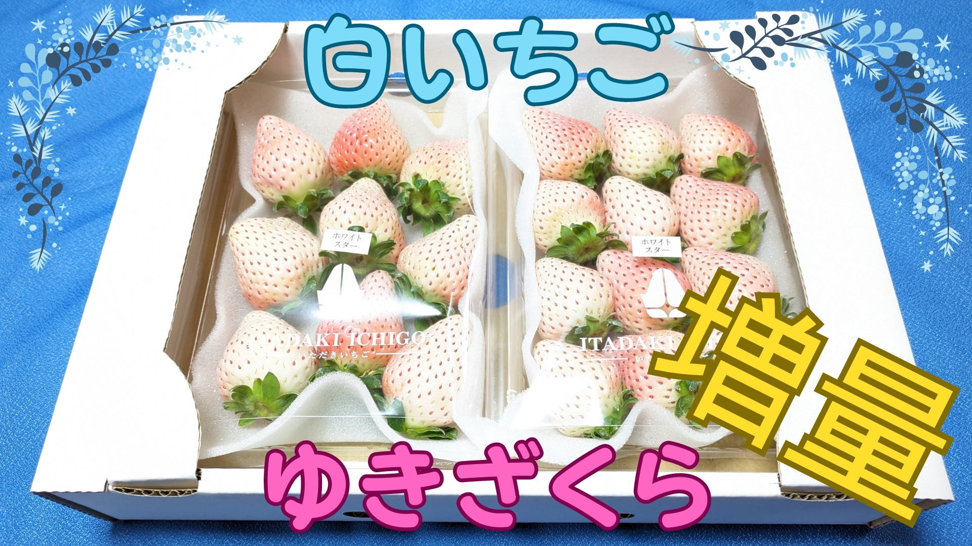 アキラ様 専用 アキラ様専用 akira様専用】 アキラさま専用 project BM