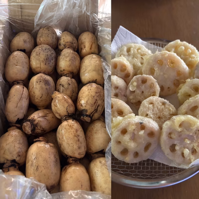 みんなの投稿の画像