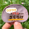 【戻せばもうスライスされてる！】お味噌汁に便利な”あさげ”きくらげ（乾燥)50g