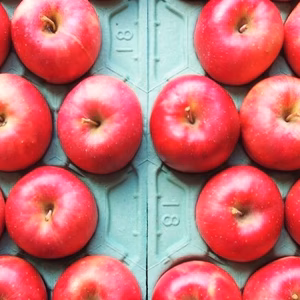 かぐや姫印　特別栽培完熟秋茜りんごLサイズ10ｋｇ