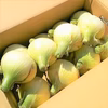 この時期だけ！！その甘さに感激！淡路島新玉ねぎ　５ｋｇ（早生・七宝）