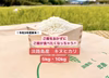 ご飯だけでお箸が進む☆つやつや ふっくら☆キヌヒカリ 5kg〜【9月中旬発送】