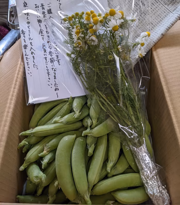 みんなの投稿の画像