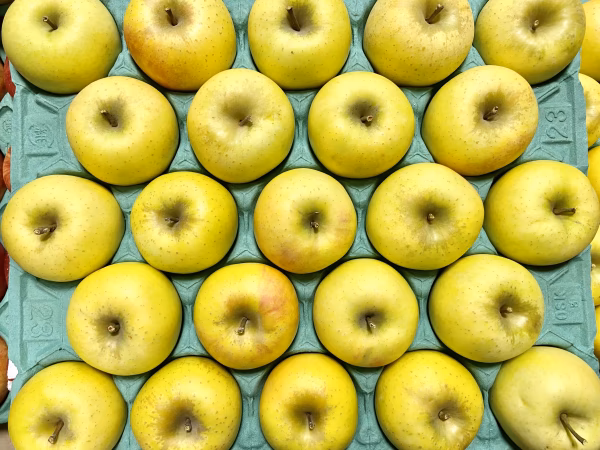 シャキシャキ！サクサク！小玉 食べきりサイズ♪シナノゴールド 約5kg